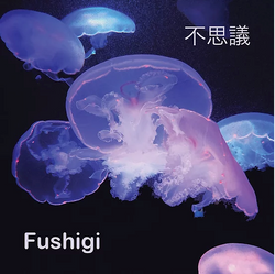 Fushigi - Limited Edition 12" Translucent Purple Vinyl by Silas Hite